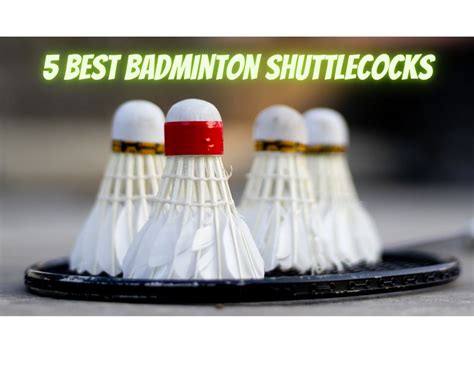5 Best Badminton Shuttlecocks in 2022 .